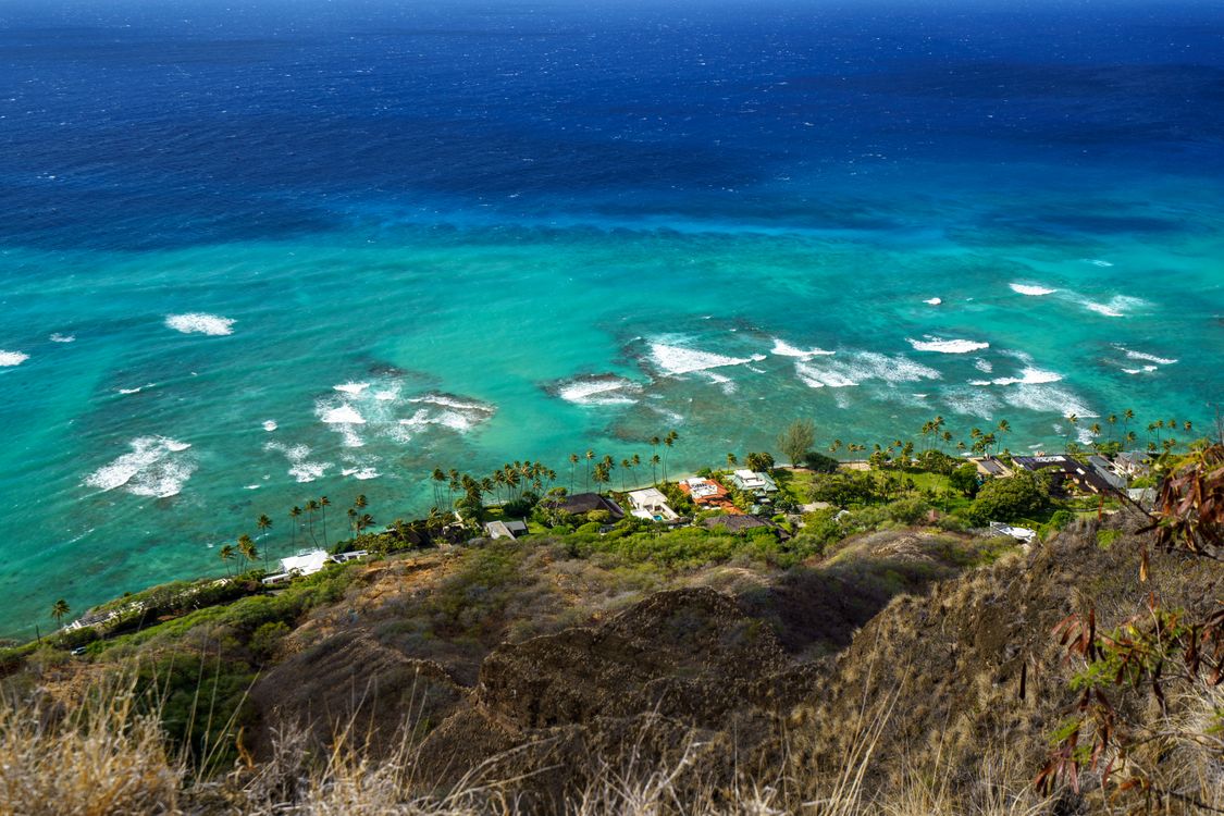Houses and palm trees on an ocean shore in Hawaii