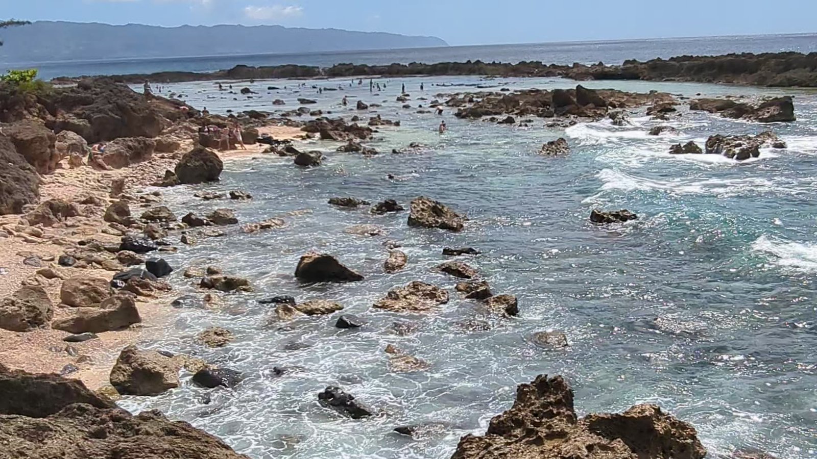 Shark's Cove's tide pools on the North Shore